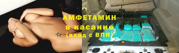 крисы Бронницы