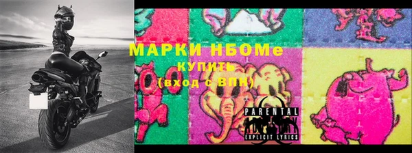 крисы Бронницы