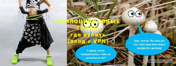крисы Бронницы