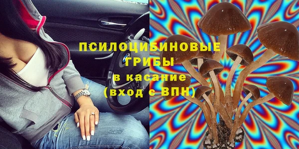 крисы Бронницы