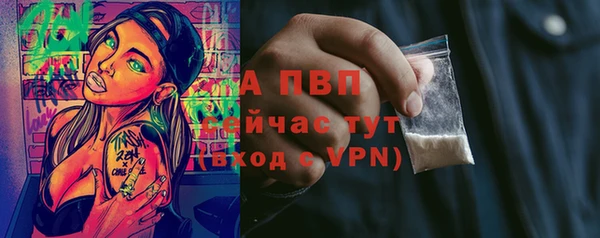 крисы Бронницы